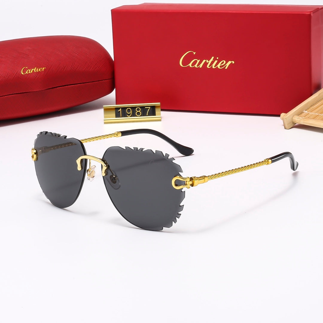 Luxury Eyewear: Elevate Your Style with Exquisite Craftsmanship-126