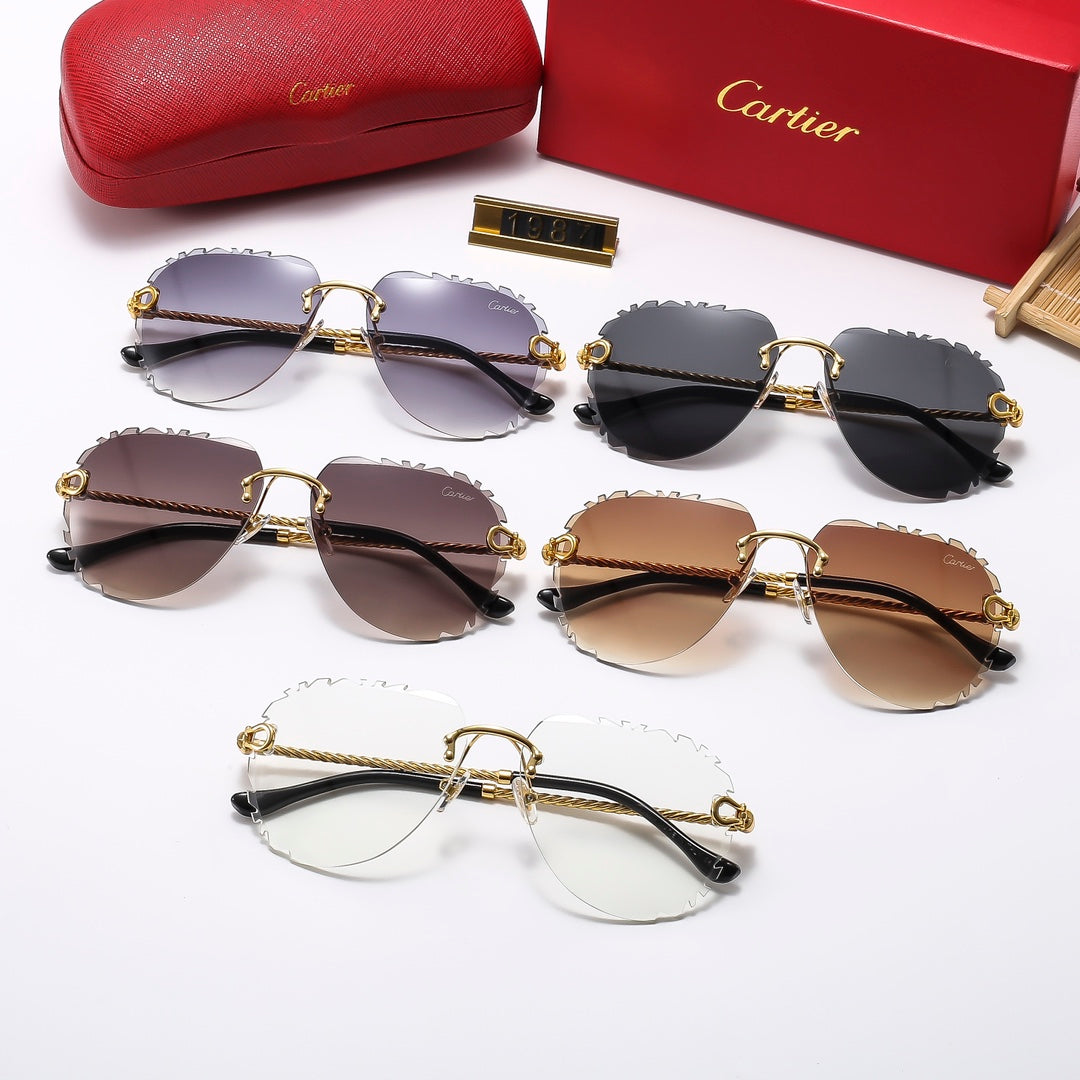 Luxury Eyewear: Elevate Your Style with Exquisite Craftsmanship-126