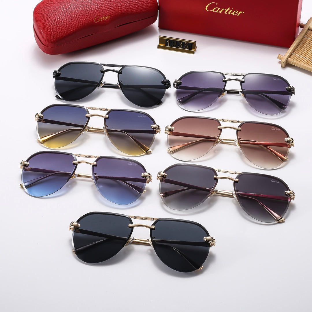 Luxury Eyewear: Elevate Your Style with Exquisite Craftsmanship-189